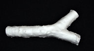 A-trachea-made-from-plastic.jpg