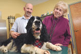 Dog Smiling After Stem Cell Therapy For Arthritis